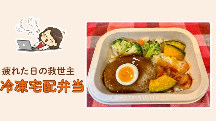 疲れてうたた寝するおかかと、救世主の味の素「あえて、」照り焼きハンバーグ弁当