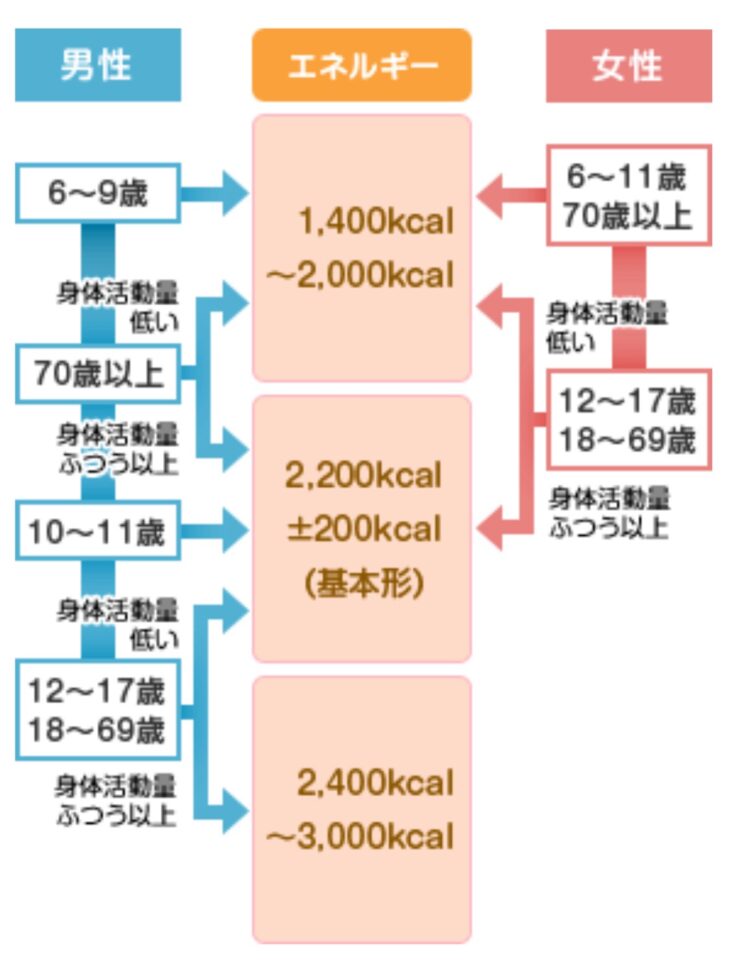 農林水産省のwebより、摂取カロリー早見表