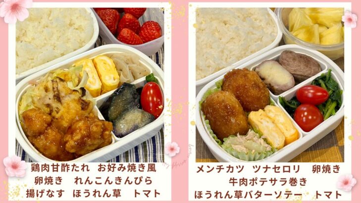 お弁当写真