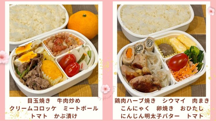 お弁当写真