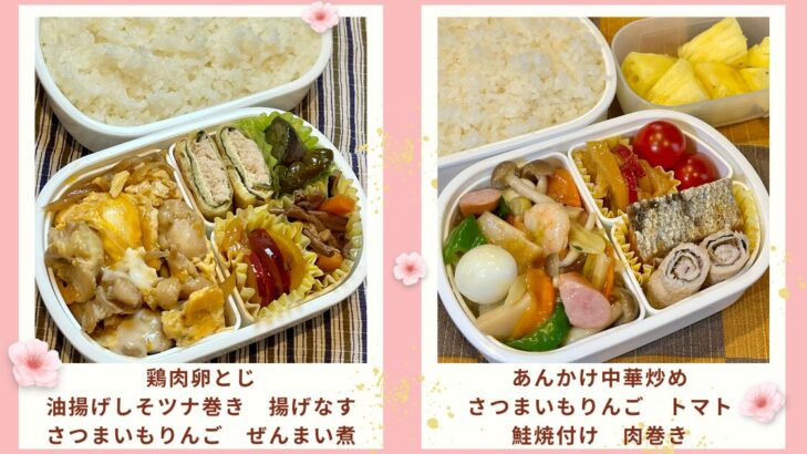 お弁当写真