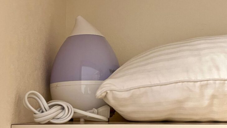 フォーレスト本郷 クローゼット内の加湿器と枕