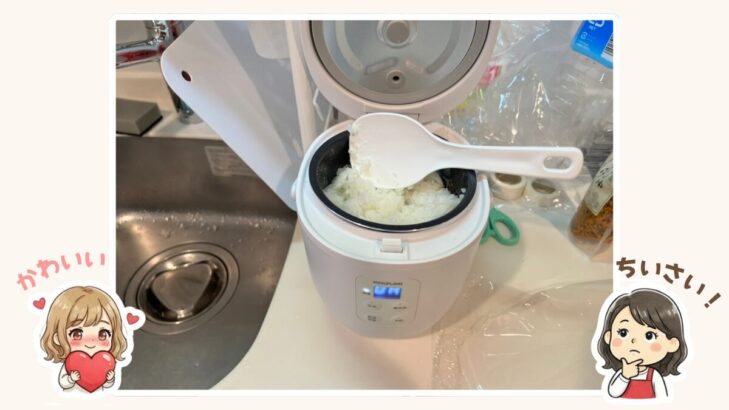 KOIZUMIの1.5合炊き炊飯器と娘・母の反応キャラ